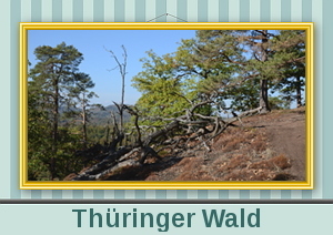 Thüringer Wald