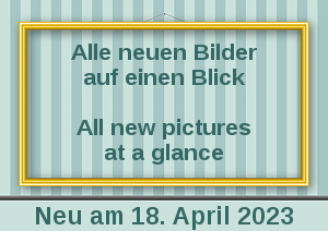 Hier gibt es alle neuen Bilder auf einen Blick