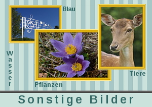 Hier geht es zur Auswahl sonstiger Bilder (Pflanzen, Tiere, Wasser, Blau, sonstiges)