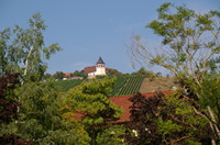Michaelsberg mit Michaelskirche