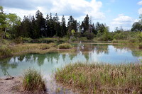 Haidgauer Quellseen