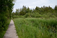 Bohlenweg am Alberser Kanal