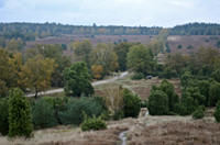 Blick vom Turmberg über die Heide nach Nordosten