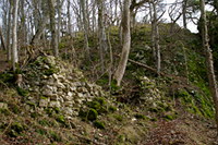 Mauerreste der Schalksburg