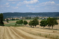 Blick von der Kreuzhalde über Harthausen und Trichtingen