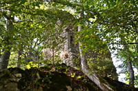 Ruine Hinter Lichtenstein