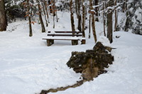 Der Sennenbrunnen bei Albstadt-Laufen im Winter