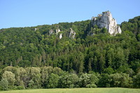 Blick auf den Petersfelsen bei Beuron