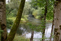 Lauchertmündung bei Sigmaringendorf