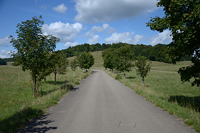 Wanderweg auf dem ehemaligen Truppenübungsplatz Münsingen