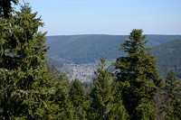 Blick vom Baumwipfelpfad Schwarzwald bei Bad Wildbad nach Calmbach