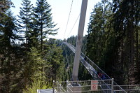 Hängebrücke "Wildline"