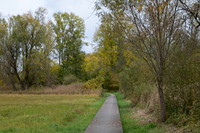 Bohlenweg beim Batzlin
