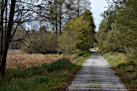 Weg durchs Hirschmoor