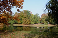 Herbst am großen Parkteich im Schlosspark Gotha