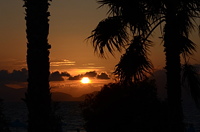 Sonnenuntergang zwischen Palmen