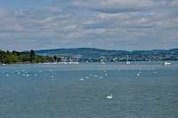 Blick &uuml;ber den &Uuml;berlinger See