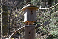 Holzfigur in einem Baum