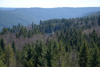 Blick zur H&auml;ngebr&uuml;cke "Wildline"