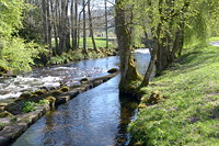 Die Gro&szlig;e Enz im Kurpark Bad Wildbad