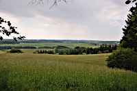 Landschaft s&uuml;dlich von D&ouml;ggingen
