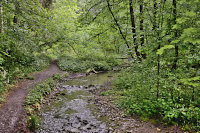 Am Balgenb&auml;chle