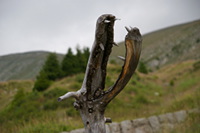 Meran 2000: Kunst am Wegesrand