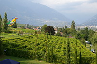 Weingut Kr&auml;nzelhof: Weinlabyrinth