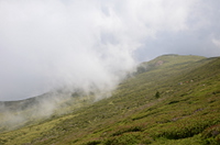 An der "Sonntagsweide" ziehen Wolken auf.