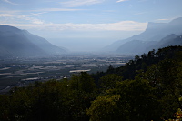 Blick vom Marlinger Waalweg Richtung S&uuml;den ins Etschtal